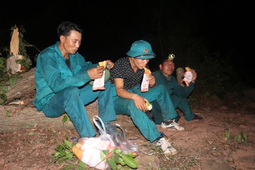Chiếc bánh mì ăn vội. Đến 22h30 phút, đám cháy cơ bản được khống chế nhưng nguy cơ bùng phát vẫn ở mức độ cao. Các lực lượng cắt cử người túc trực tại núi Con Voi, xã Diễn Lộc, huyện Diễn Châu (Nghệ An) để phòng ngừa đám cháy tái diễn.