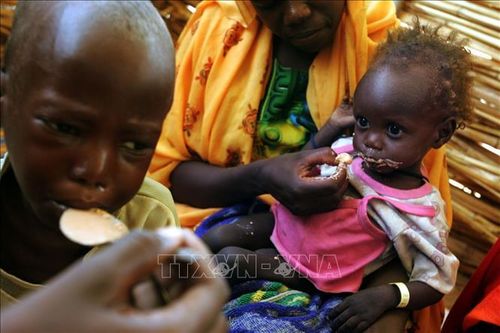 Trẻ em bị suy dinh dưỡng do thiếu lương thực điều trị tại một trung tâm y tế ở Darfur, Sudan. Ảnh: AFP/TTXVN