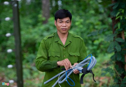 Anh Ninh cho biết mình trực tiếp tham gia cứu hộ thành công voi Jun năm 2015 và cứu thành công voi Gold năm 2016.