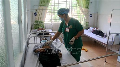 Các bác sĩ Bệnh viện Đa khoa tỉnh Gia Lai điều trị cho các bệnh nhân mắc bệnh bạch hầu. Ảnh: Quang Thái/TTXVN