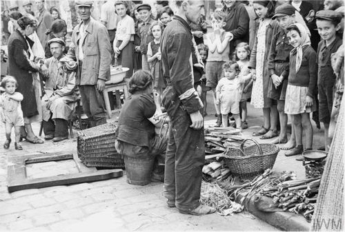 Theo đó, những người bệnh được đưa đến một khu vực riêng trong ghetto. Kế đến, người Do Thái thuyết phục được quan chức Đức quốc xã cho mua một số thuốc men, thực phẩm, xà phòng và nước từ bên ngoài vào để điều trị cho các bệnh nhân.
