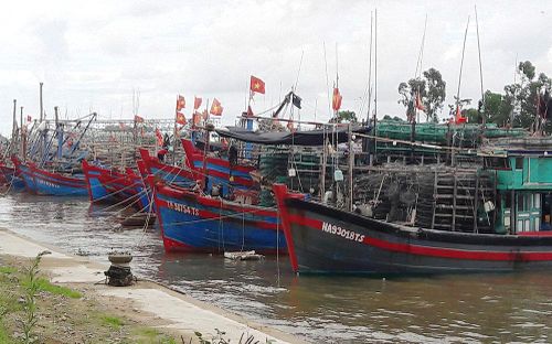 Tàu thuyền neo đậu an toàn tại nơi tránh trú bão.
