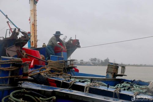 Ngư dân Nghệ An khẩn trương chằng chống tàu thuyền. Ảnh Thu Huyền