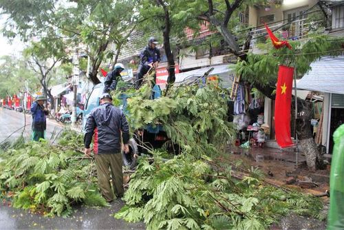 Công nhân công ty Công viên cây xanh đang dọn dẹp cây đổ trên đường Quang Trung