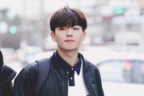  Sau scandal, công ty quản lý của Ha Min Ho là The Vibe Label thừa nhận hành động quấy rối của ''gà nhà'' và đưa ra quyết định chấm dứt hợp đồng với nam ca sĩ. Ha Min Ho cũng rời chương trình Produce 101 mùa 2 ngay sau đó. 