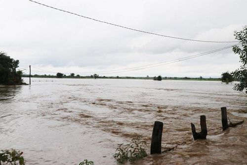 Cánh đồng lúa của người dân xã Ea Rốk, huyện Ea Súp (Đắk Lắk) chìm trong biển nước. (Ảnh: Anh Dũng/TTXVN)