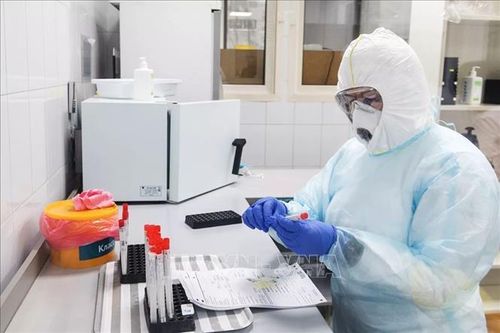 Nghiên cứu mẫu bệnh phẩm để bào chế vaccine phòng dịch COVID-19 tại Nga. Ảnh: RIA Novosti/TTXVN