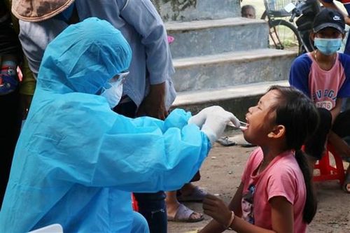 Kinh phí dự kiến để thực hiện Kế hoạch này là 64 tỷ đồng.
