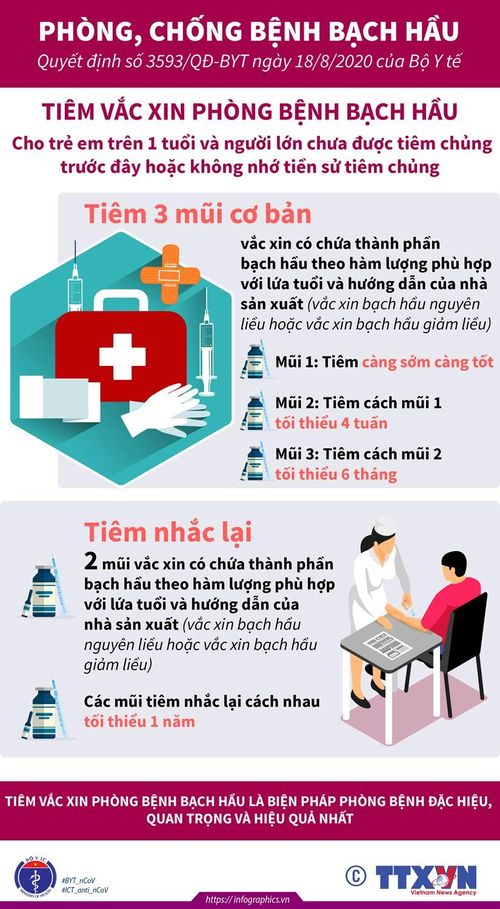 Nhấp chuột để xem kích thước chuẩn.