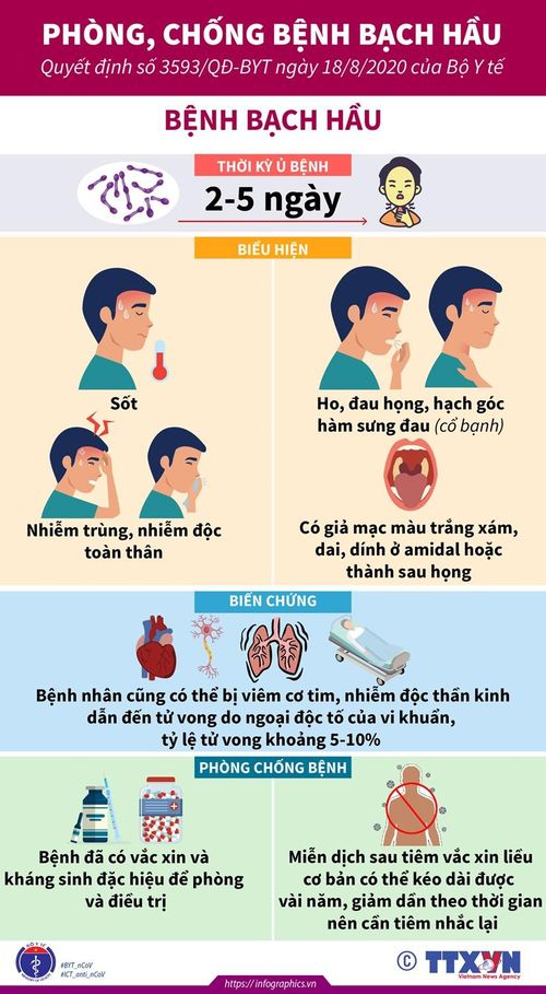 (Nhấp chuột để xem kích thước chuẩn)
