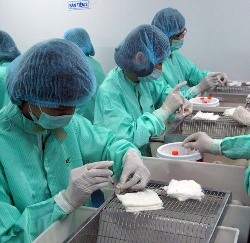 Quy trình thử vaccine tại Công ty TNHH MTV Vaccine và Sinh phẩm số 1-Bộ Y tế. Ảnh: THÁI HÀ.