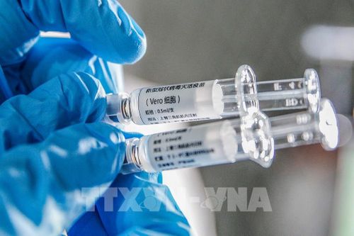 Vaccine phòng COVID-19 do Tập đoàn dược phẩm quốc gia Sinopharm bào chế tại Bắc Kinh, Trung Quốc ngày 16/3/2020. Ảnh: THX/ TTXVN