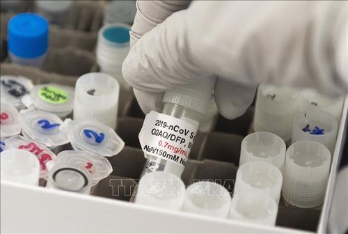 Vaccine phòng COVID-19 do công ty dược phẩm Novavax Inc của Mỹ phát triển. Ảnh: AFP/TTXVN