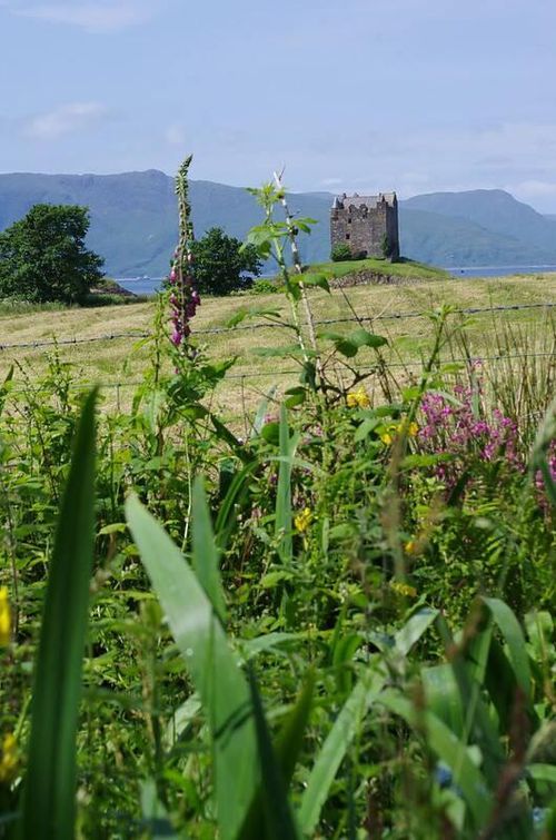 Stalker là lâu đài cổ nổi tiếng ở Scotland, Anh. Công trình hàng trăm tuổi này nằm trên một hòn đảo tại Loch Laich nên mang vẻ đẹp khác biệt so với các tòa lâu đài trên đất liền.