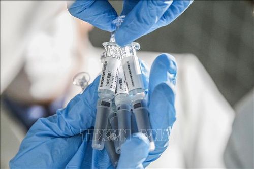 Vaccine phòng COVID-19 được phát triển bởi công ty công nghệ sinh học Sinovac ở Bắc Kinh, Trung Quốc ngày 16/3/2020. Ảnh: THX/TTXVN