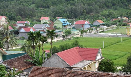 Nông thôn Sơn Thành đang khởi sắc. Ảnh: Xuân Hoàng