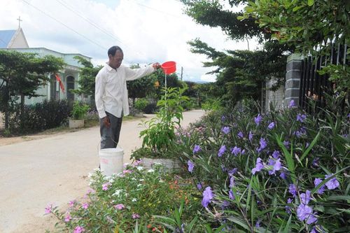 Người dân chăm sóc hoa trên con đường ở Khu dân cư kiểu mẫu thôn Ka Rái 2, xã Ka Đơn