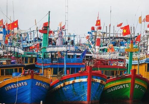Các tàu thuyền đã di chuyển vào khu trú ẩn
