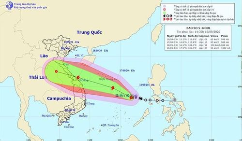 Bão số 5 dự abos sẽ vào miền Trung nguy cơ gây hại gần 1000 ha lúa ở Quảng Trị