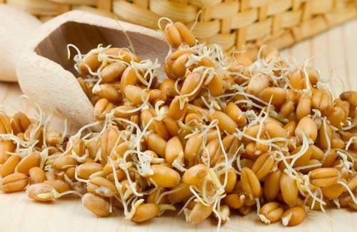  Mầm lúa mì Trong mầm lúa mì có rất nhiều selen và kẽm. Selen giàu hoạt tính chống oxy hóa, không những giúp giảm nếp nhăn trên da mà còn có vai trò chống ung thư. Kẽm được cho là bạn đồng hành cùng với selen để tạo hiệu quả chống lão hóa tối ưu. Hơn nữa, trong mầm lúa mì còn có vitamin B6, vitamin E - đều là những vitamin có lợi cho da.