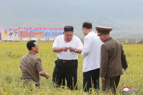  Ông Kim đi thăm vùng lũ tại tỉnh Hwanghae Bắc trong ảnh được công bố hôm 11/9. Ảnh: KCNA/Reuters. 