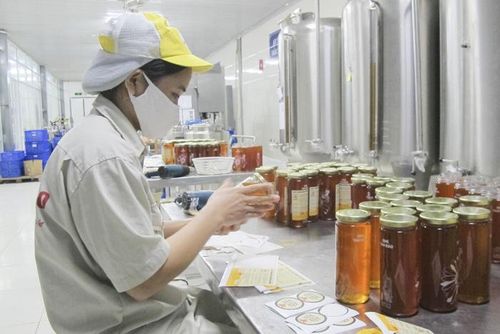 Nhà máy sản xuất mật ong