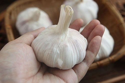 4 loại tỏi tuyệt đối không chọn mua - Báo Phụ Nữ Việt Nam