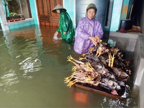 Trận lũ lịch sử cuốn trôi nhiều tài sản của người dân.
