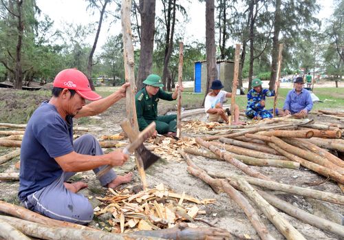 Vót cọc gỗ để đóng xuống bờ kè giữ đất.