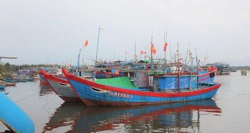 Các tàu thuyền Quảng Nam vào nơi trú tránh bão an toàn.