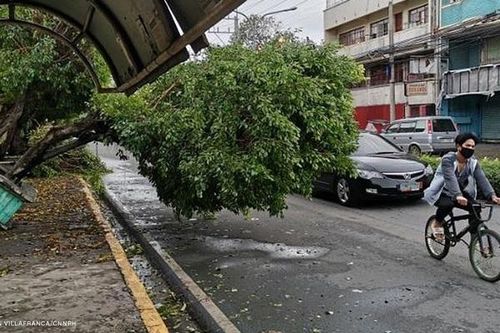 Gió lớn khiến nhiều cây cối ven đường bị bật gốc. Ảnh: CNNPhilippines
