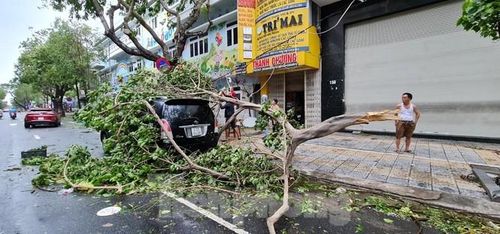 Gió quật liên tục cũng bẻ gãy nhiều cành cây. Một số ô tô đỗ dọc đường trong khi bãi đổ bộ bị cành cây đè trúng. Ảnh: Cảnh Huệ