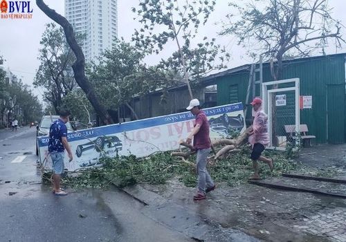  Đường phố Đà Nẵng ngổn ngang cây cối, bảng hiệu,...