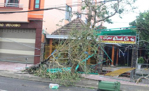 Nhiều nơi ở TP Tam Kỳ ngổn ngang sau bão số 9.