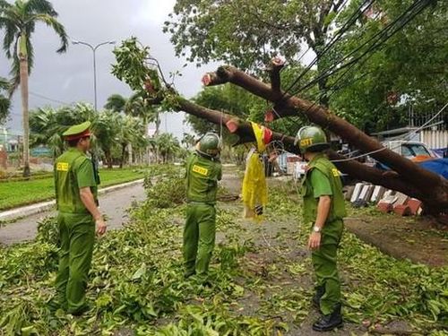 Lực lượng Công an TP Tam Kỳ tham gia đón các cây ngã sau bão.