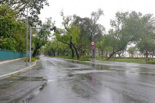Thành phố Huế không bị ảnh hưởng gì lớn khi bão Molave đổ bộ.