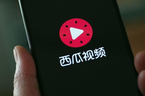 ByteDance dự tính đầu tư tới 10 tỉ nhân dân tệ vào Xigua, ứng dụng video thời lượng dài. Ảnh: WSJ