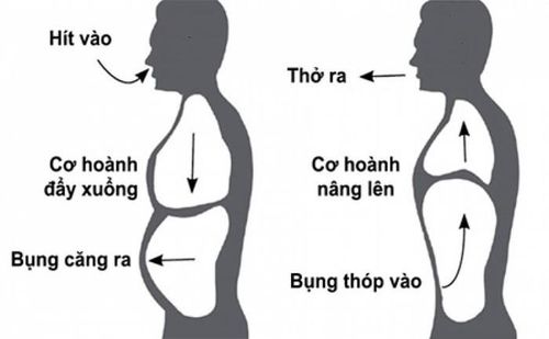 Kỹ thuật thở cơ hoành giúp giảm khó thở khi bị COPD - Ảnh: Internet