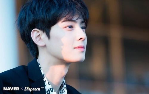  Cha Eun Woo (Astro).