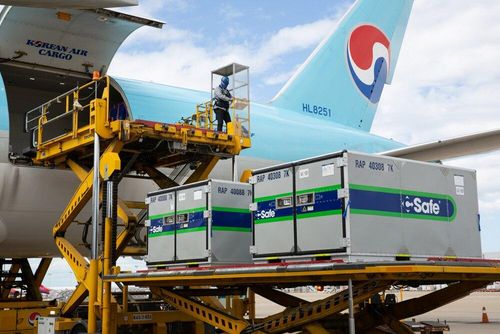Korean Air cho biết sẵn sàng vận chuyển vắc-xin COVID-19 ra thế giới. (Ảnh: CAAS - Cargo Airports &amp; Airline Services)