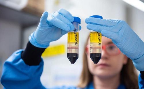 Một nhà nghiên cứu trong chương trình sản xuất vaccine COVID-19 của Đại học Oxford phối hợp với AstraZeneca. Ảnh: Guardian