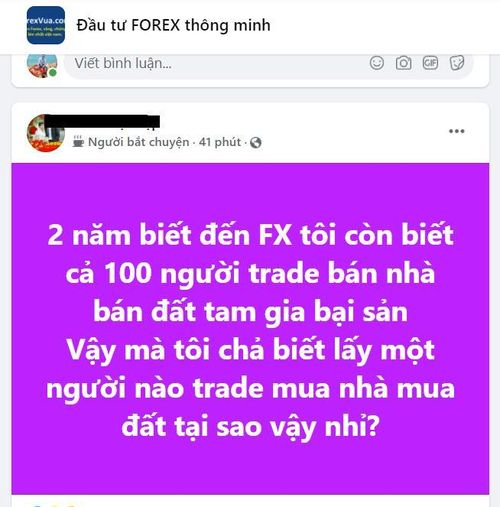 Nhiều nhà đầu tư Forex cho biết, chưa bao giờ kiếm được lãi ở thị trường này