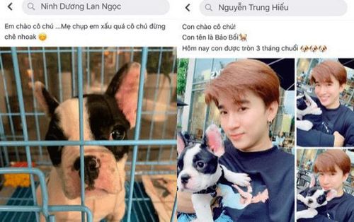 ...hay "tình cờ" nuôi pet giống hệt....
