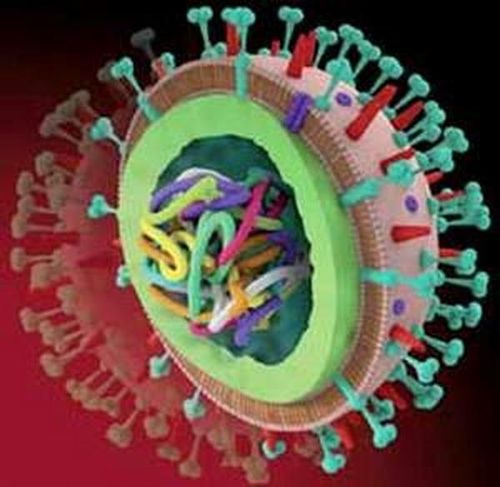Virut - thủ phạm gây viêm tiểu phế quản ở trẻ em.