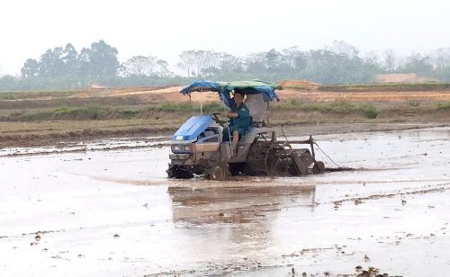 Bà con nông dân xã Dân Quyền, huyện Tam Nông sử dụng máy làm đất để chuẩn bị gieo cấy vụ Chiêm Xuân.