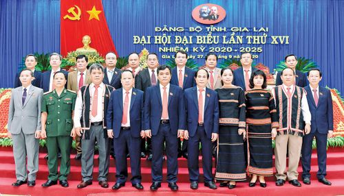 Đoàn đại biểu của tỉnh tham dự Đại hội đại biểu toàn quốc lần thứ XIII của Đảng. Ảnh: Đức Thụy