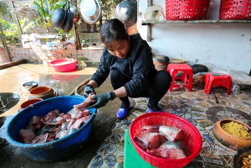 Cá dùng để kho phải là cá trắm đen được nuôi khoảng 2-3 năm, cân nặng từ 3-5 kg/con. Khi sơ chế cá, phải cắt bỏ đầu và đuôi chỉ giữ lại phần nhiều thịt, ít xương.