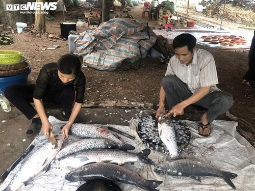 Theo anh Phong, để có nồi cá kho ngon, cá được gia đình anh chọn là cá trắm đen từ 3 kg trở lên. Cá sau khi mua về được anh Phong cho vào bồn sục khí rồi mới đánh vẩy, cắt khúc và rửa sạch.