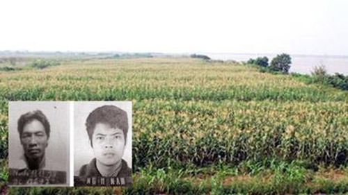Các đối tượng Nguyễn Văn Thân và Nguyễn Hải Nam đã trốn nhiều ngày ở cánh đồng ngô. 