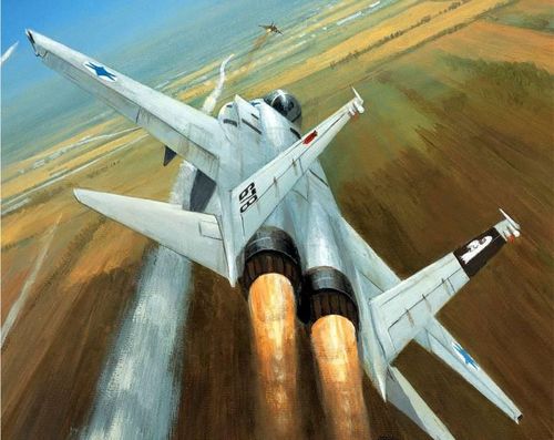 Kể từ ngày 9/6/1982, Không quân Israel bắt đầu thực hiện một cuộc tấn công được lên kế hoạch tỉ mỉ tại Thung lũng Bekaa. Trong trận chiến này, Israel đã dùng UAV làm mồi nhử, lừa Syria phóng tên lửa phòng không; sau đó Không quân Israel sử dụng tên lửa chống bức xạ, để tiêu diệt từng radar của Syria.